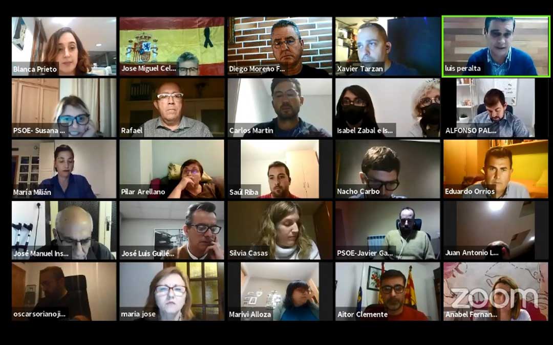 Sesión plenaria celebrada por videoconferencia.