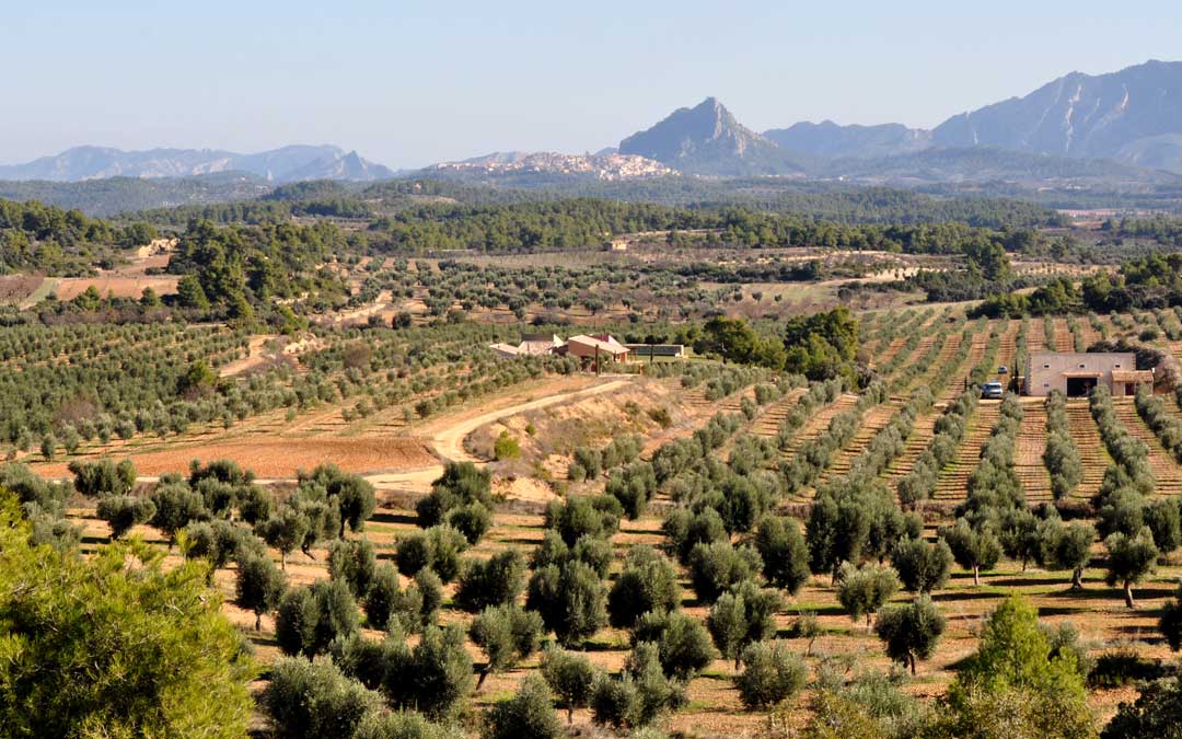 Diezdedos está situado en la Vall de Ballestero, en Cretas.