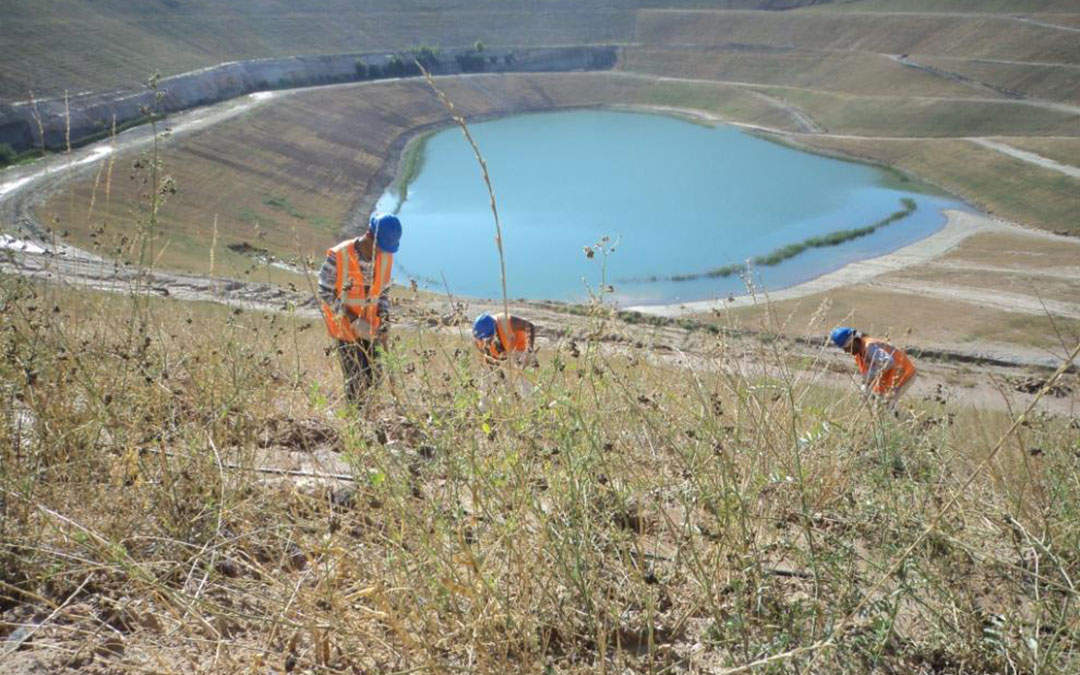 Las instalaciones se ubicarán en una antigua mina a cielo abierto de Estercuel ya restaurada medioambientalmente /Heraldo
