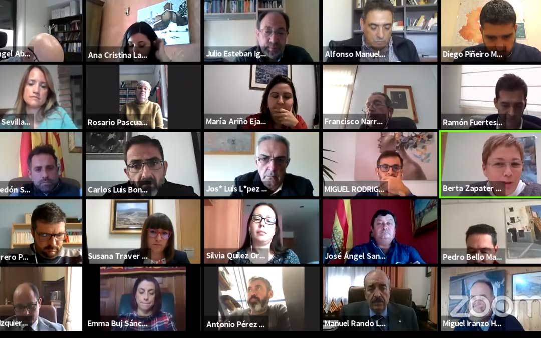 Imagen del pleno telemático celebrado este miércoles./DPT