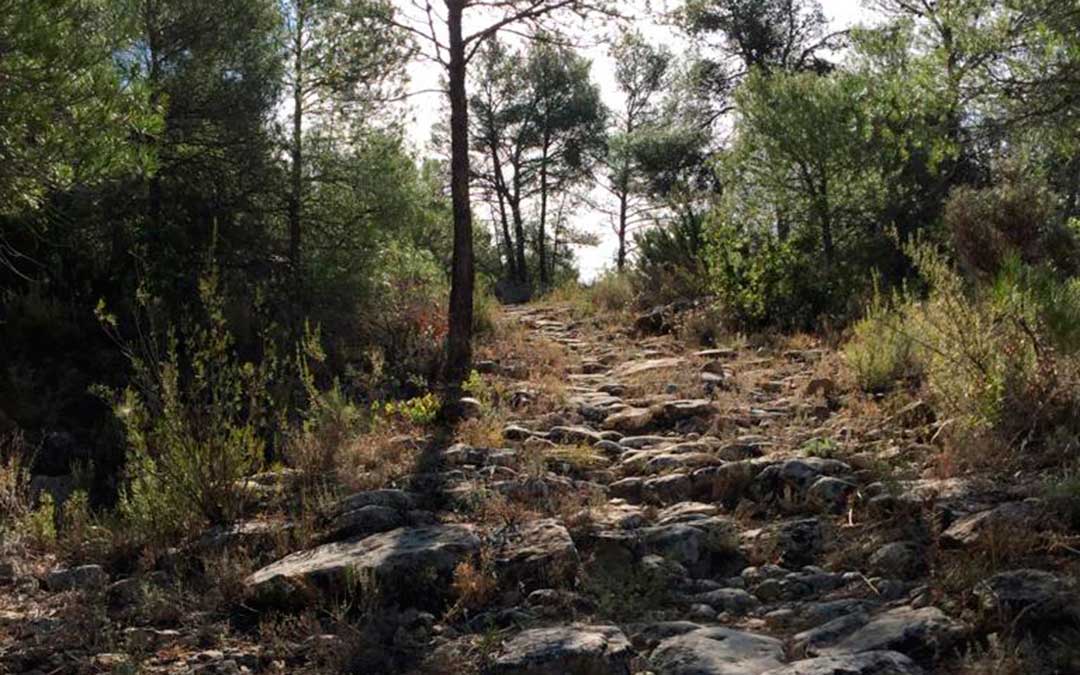 El sendero atraviesa distintos restos de antiguas calzadas con siglos de historia. FOTO: Alberto Díaz.