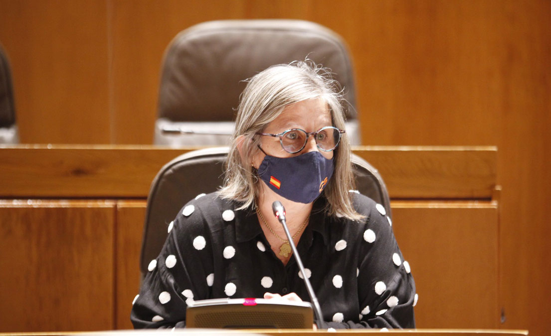 Diputada de Ciudadanos Beatriz García en las Cortes./Cortes de Aragón