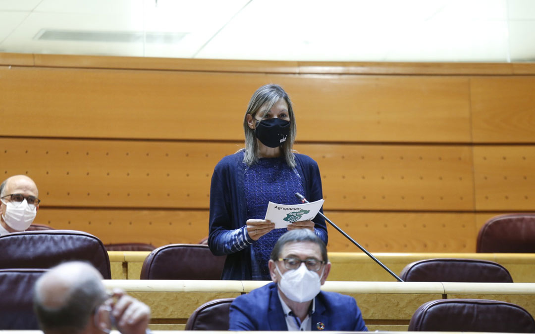 La senadora Beatriz Martin, formulando la pregunta al Ministro de Interior./Teruel Existe