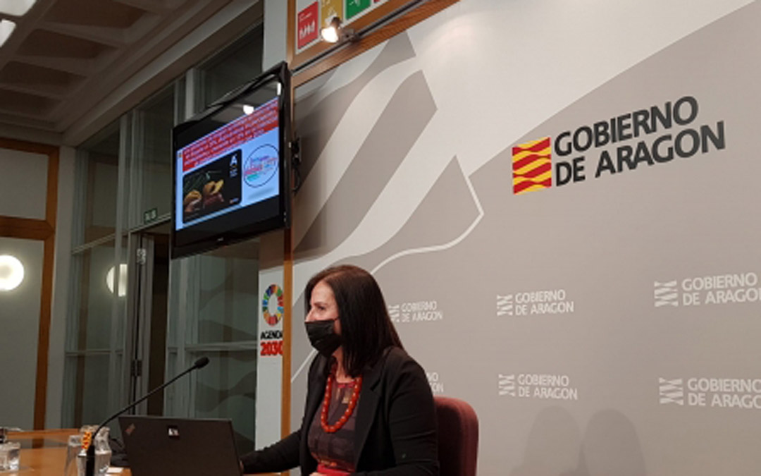 La directora general de Promoción e Innovación Agroalimentaria del Gobierno de Aragón, Carmen Urbano, durante la rueda de prensa./DGA
