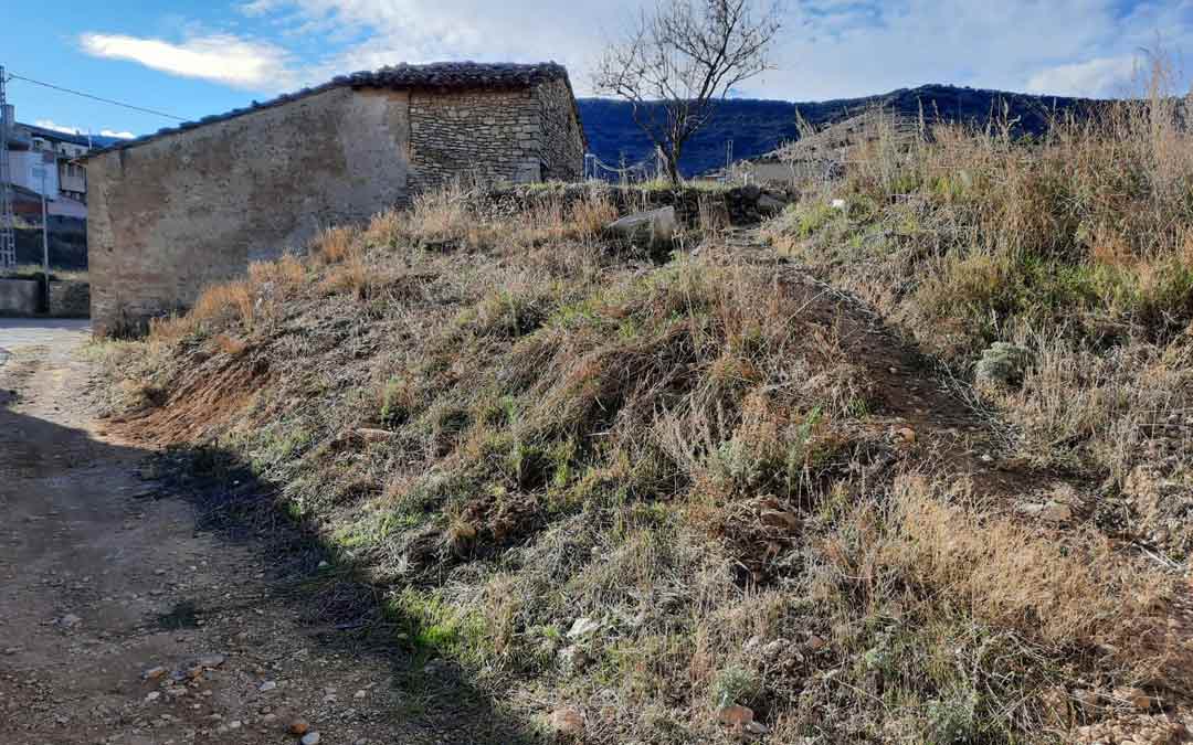 Área en la que se han plantado ejemplares de pinos, cipreses y álamos./F. Marín