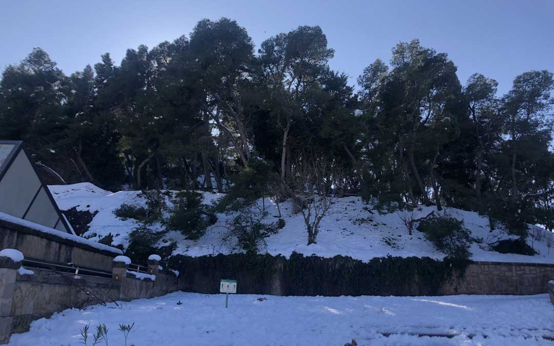 El cerro se encuentra lleno de nieve y con árboles caídos / L. Castel