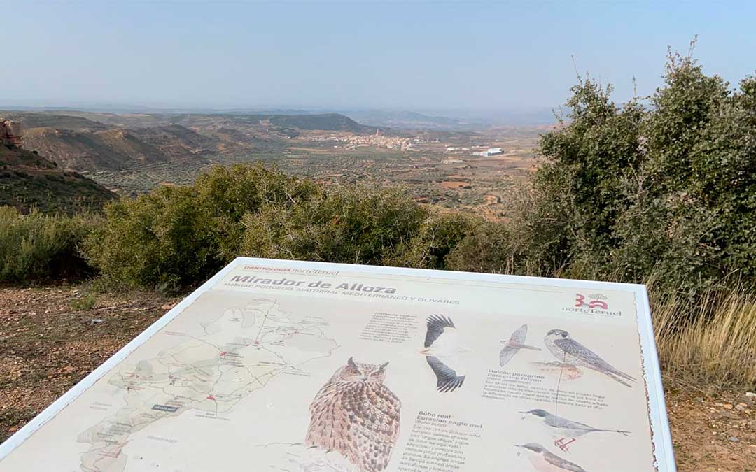 Mirador de Alloza./ Alicia Martín
