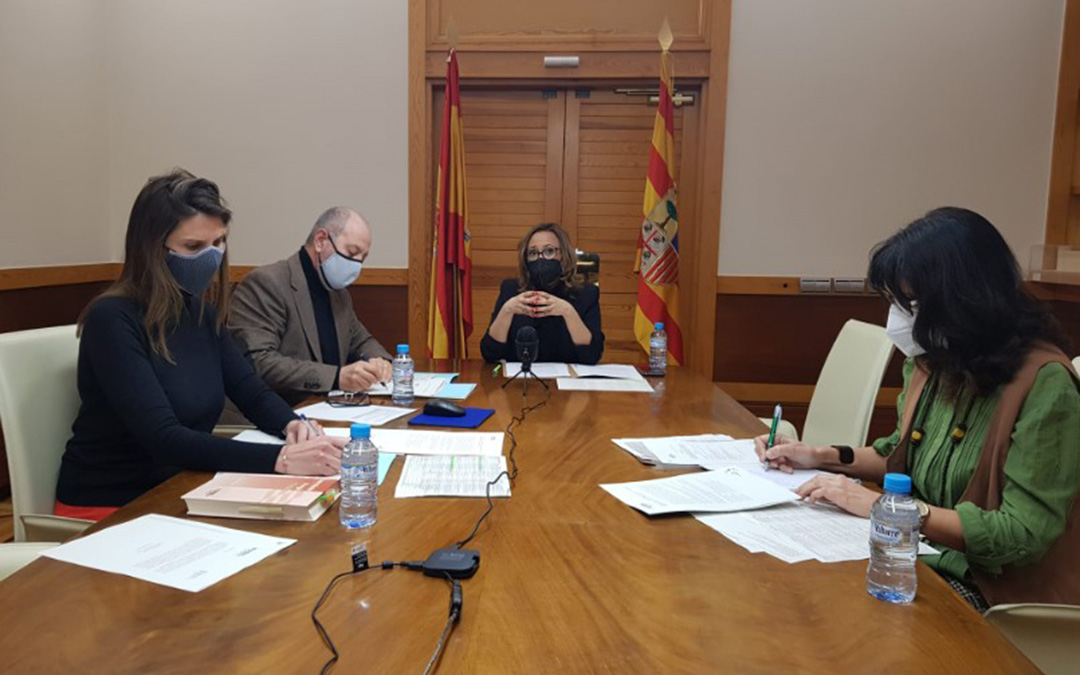Reunión del Consejo de Cooperación Comarcal. / DGA