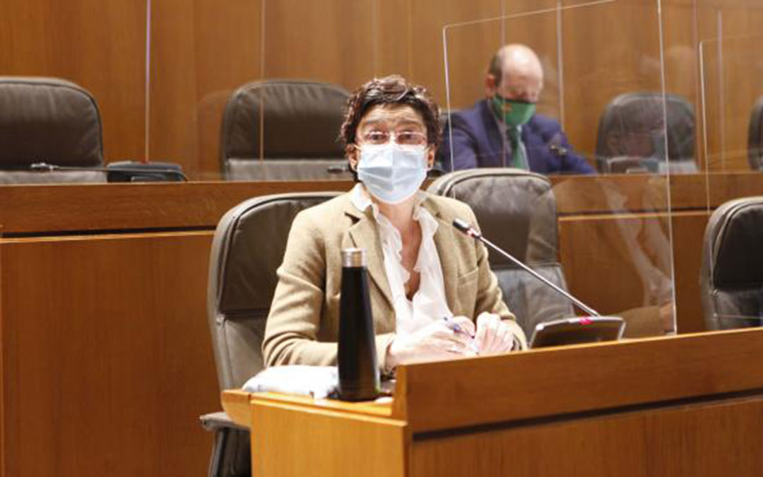 La diputada del PP, Ana Marín, durante su intervención en las Cortes. / CORTES DE ARAGÓN