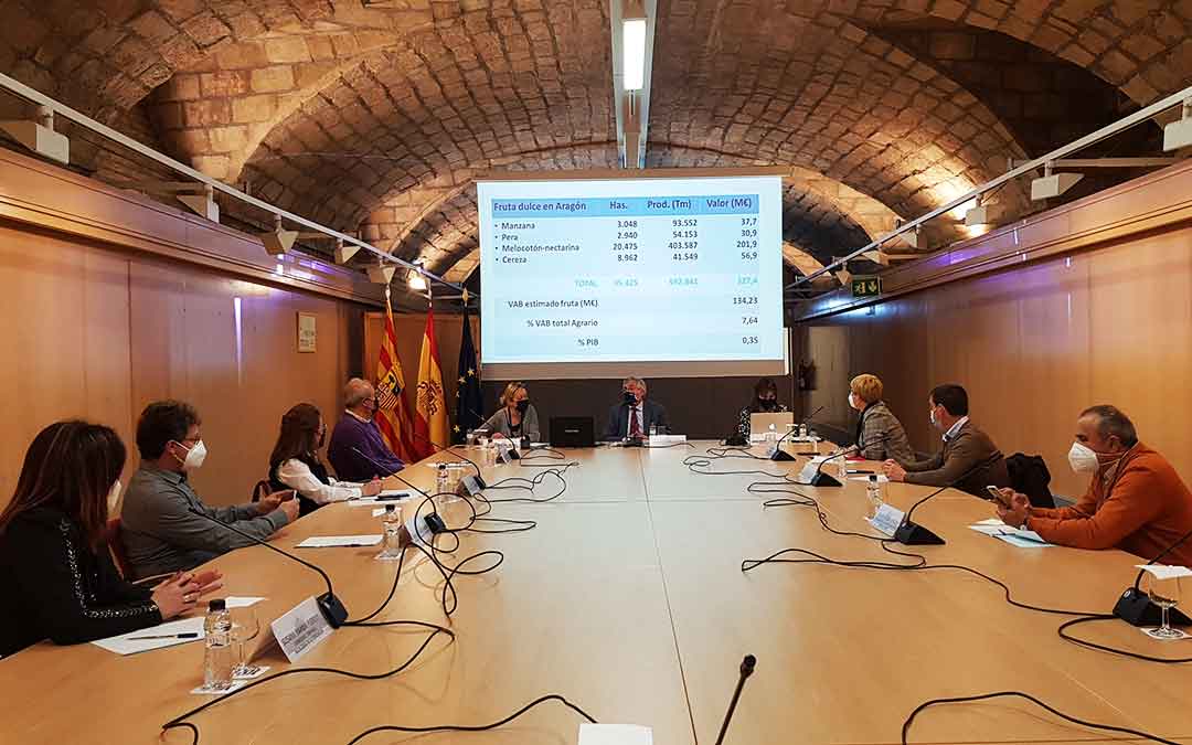 Reunión entre representantes de DGA y de comarcas frutícolas. Imagen: Gobierno de Aragón.