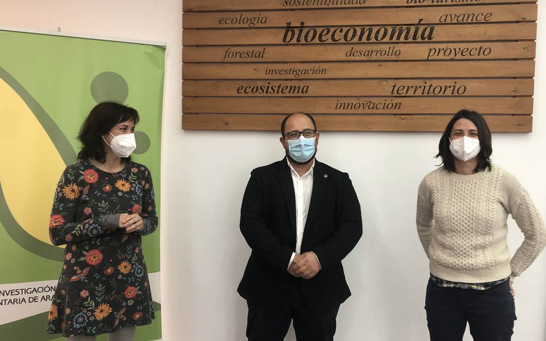 De izquierda a derecha, Luna Zabalza, Alberto Izquierdo y Marta Barba, en las instalaciones del CIBR de Teruel./DPT