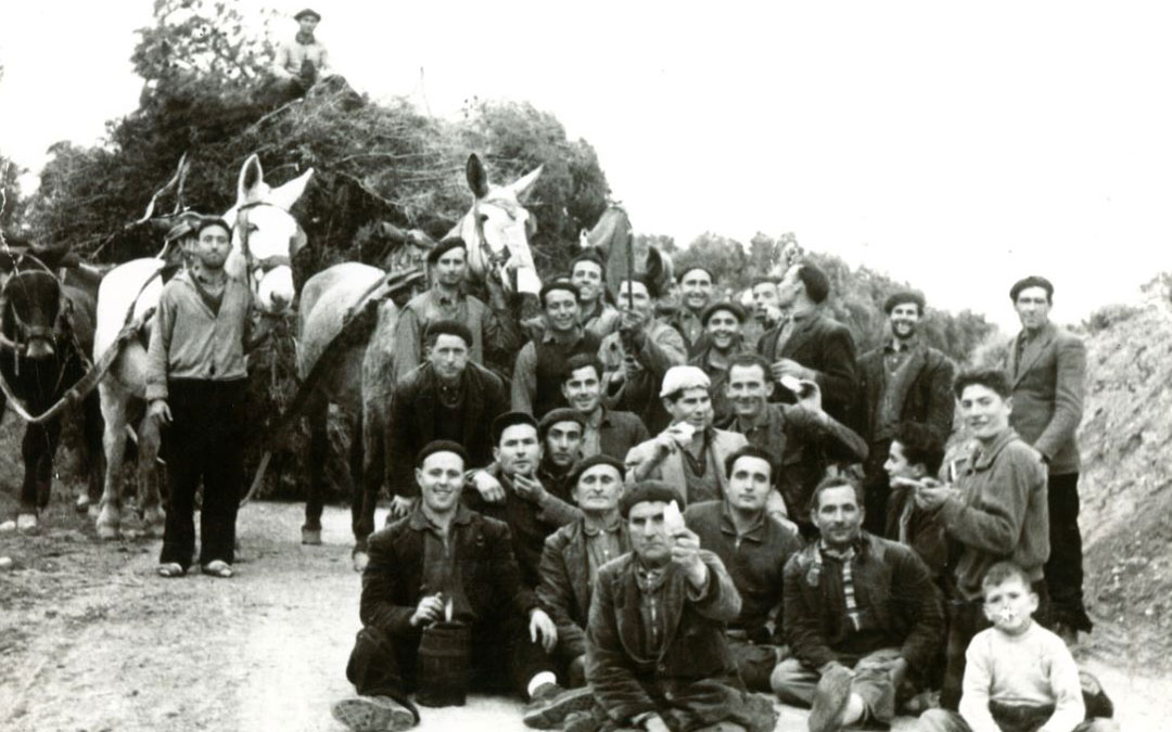El Día de la Leña de 1957. Una de las primeras imágenes que ya forma parte del archivo digital. / Vive Castelnou.
