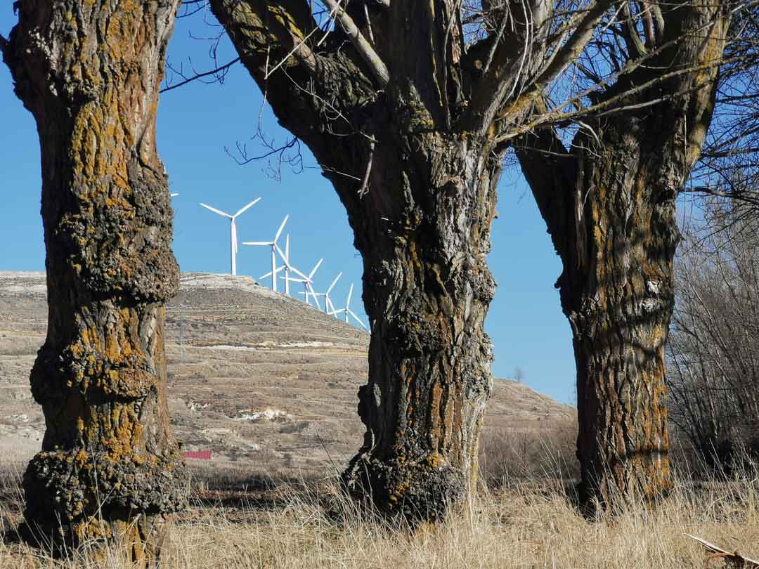 Aerogeneradores colonizando el paisaje turolense