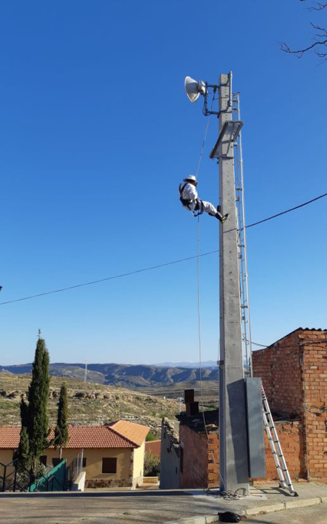 Los bomberos, retirando un enjambre de abejas de un poste en Alacón. / Bomberos DPT