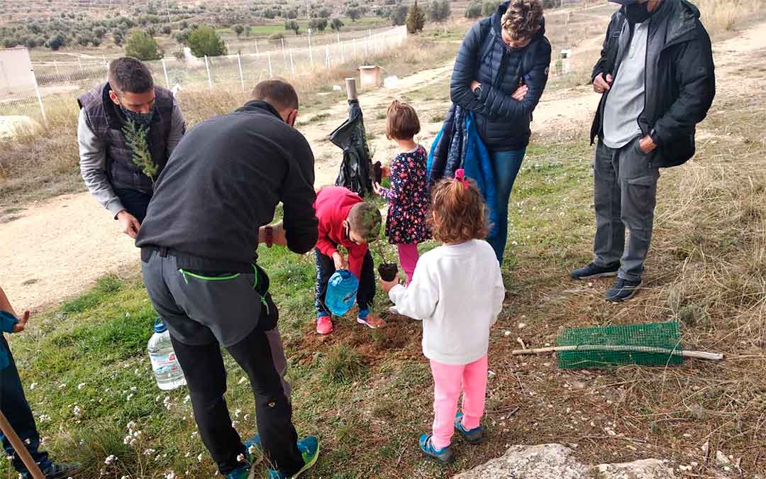 Plantada de árboles este sábado en Andorra / Ayto. Andorra