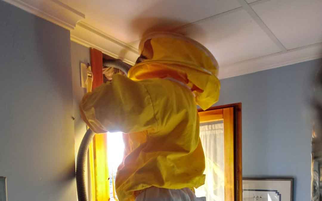 Un bombero quitando un enjambre en una vivienda de Alcañiz./ DPT
