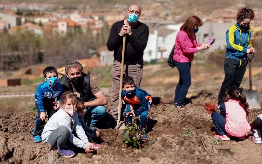 Plantación de árboles en Utrillas este miércoles./Ayuntamiento de Utrillas