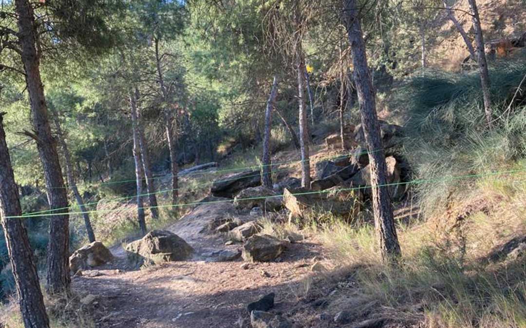 Cuerdas cruzadas para interrumpir el paso de ciclistas o deportistas en una zona de monte en Alcañiz./ L.C.