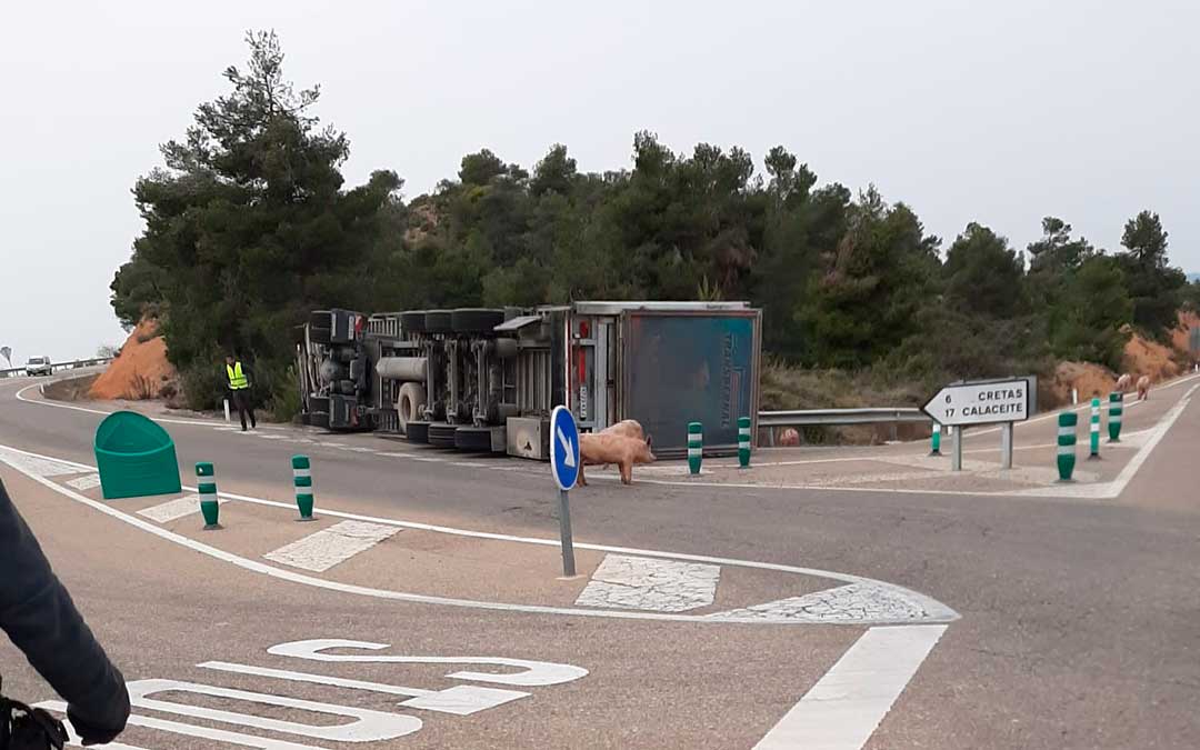 Varios cerdos escaparon del vehículo por lo que la operación se alargó durante varias horas./ L.C.