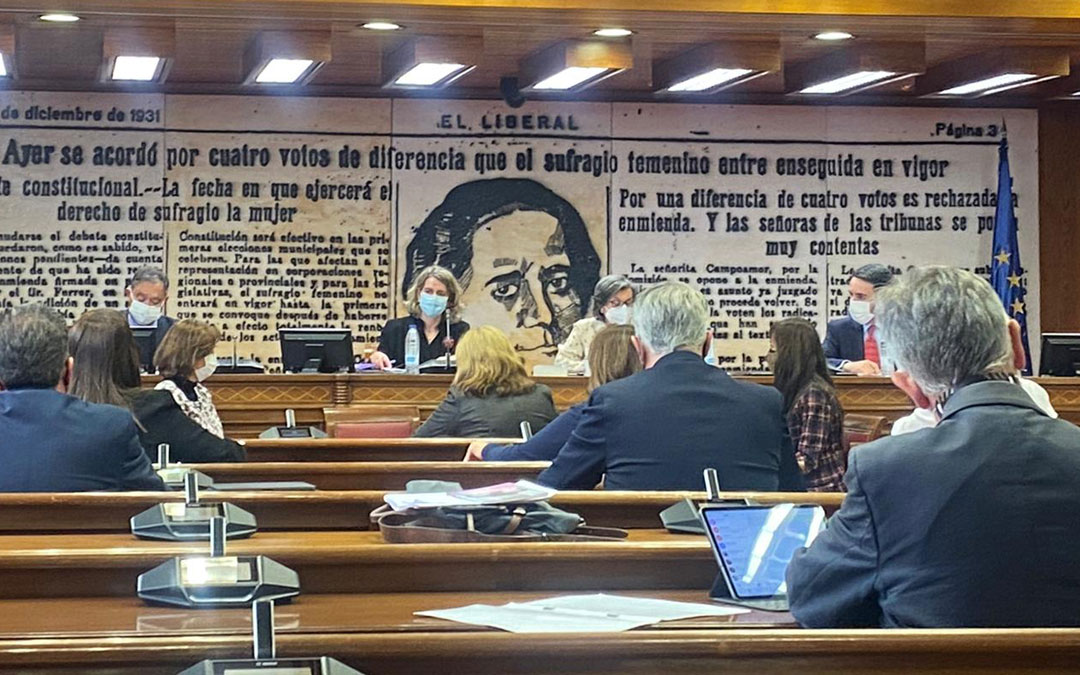 La presidenta de FADEMUR, Teresa López, en su intervención en la comisión en el Senado. / FADEMUR