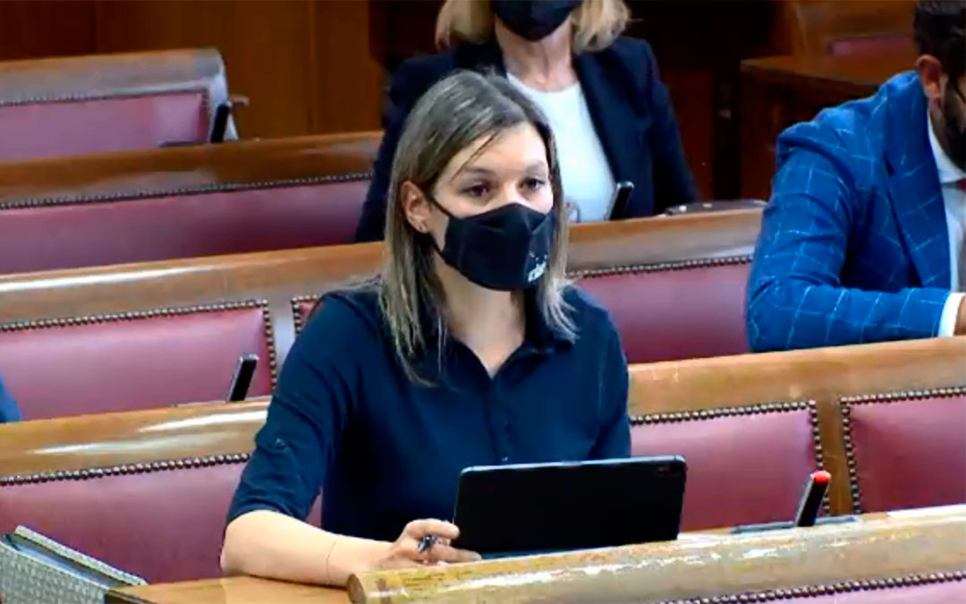 La senadora de Teruel Existe, Beatriz Martín./ T.E.