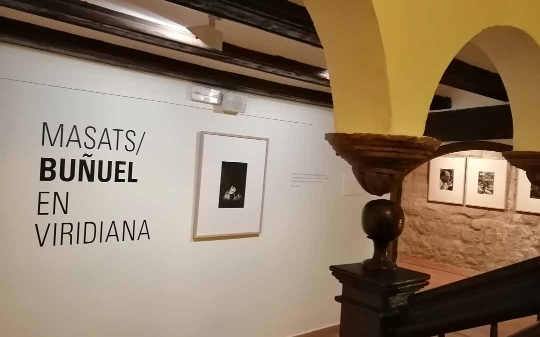 El Museo calaceitano ofrecerá la exposición hasta bien entrado el verano. DGA.