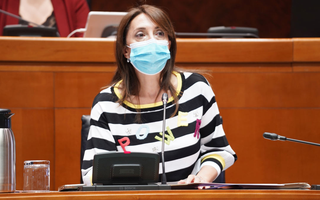 Soledad de la Puente, directora general de Trabajo, Autónomos y Economía Social./Cortes de Aragón