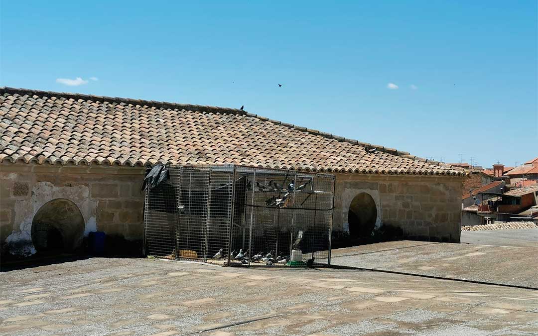 Jaula para palomas instalada en la colegiata de Caspe./ Ayuntamiento de Caspe