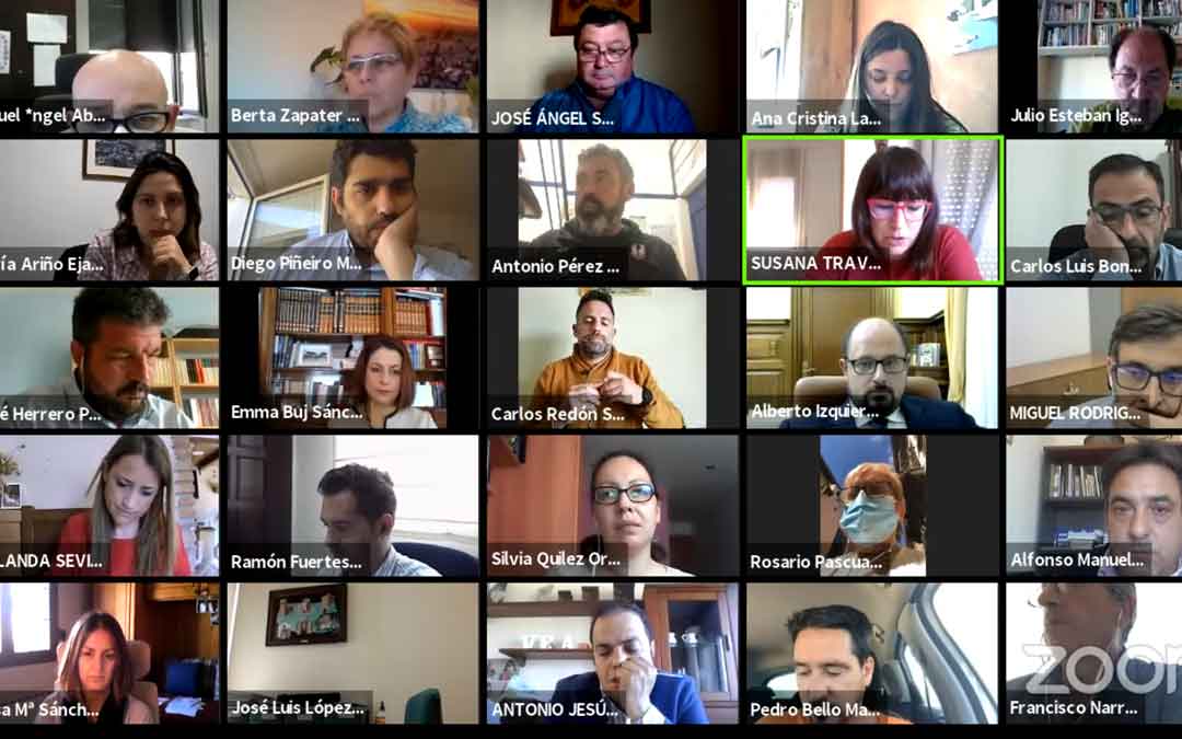 Pleno extraordinario de DPT realizado de forma telemática. / DPT