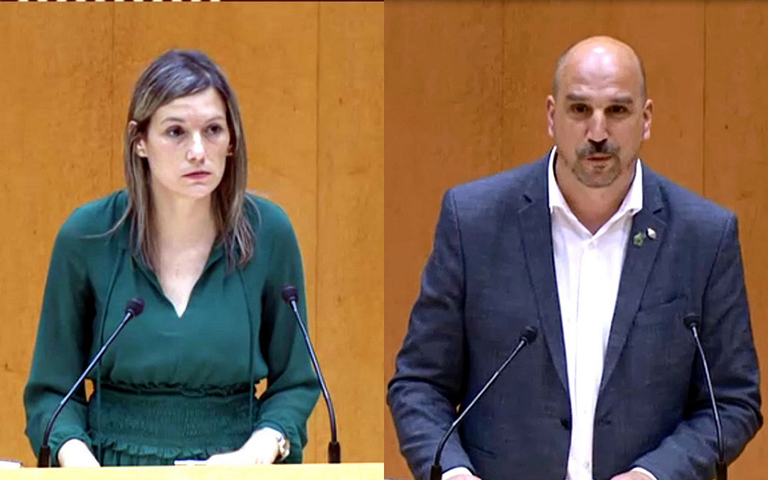 Los senadores Martín y Egea intervinieron en el pleno. / TERUEL EXISTE