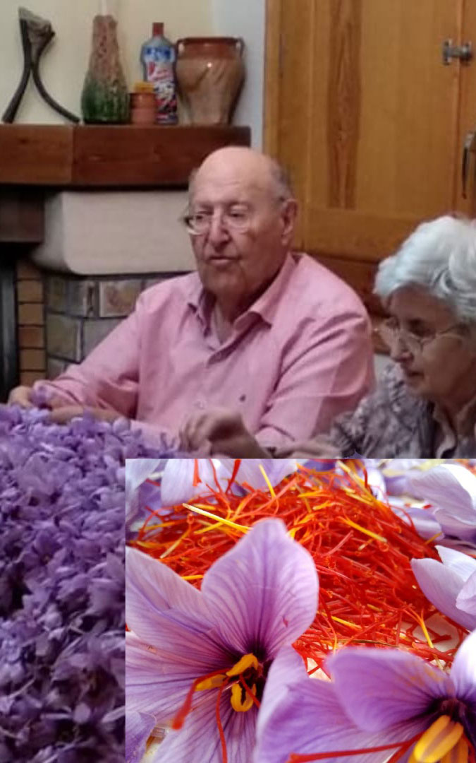 Antonio Bielsa y Teresa Pons, rodeados del cultivo que han recuperado. / E. B. P.
