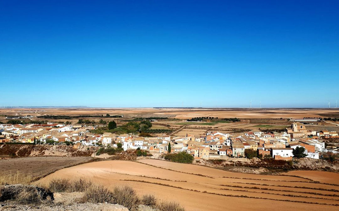 El secano de Vinaceite da un azafrán con las propiedades muy concentradas. / Eva Bielsa Pons