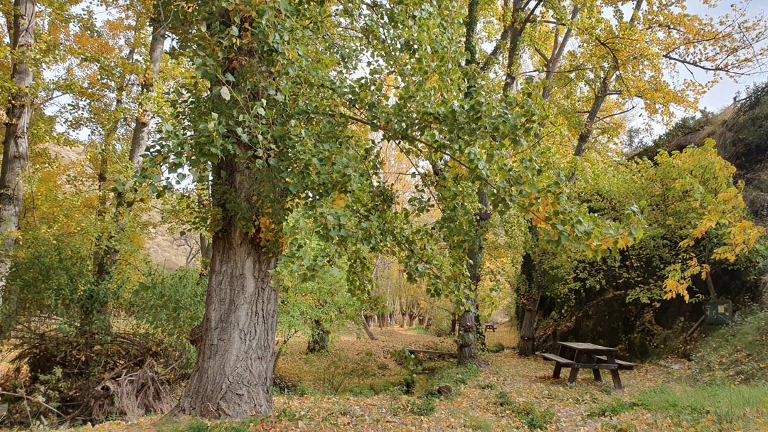 las calderas gargallo senderismo