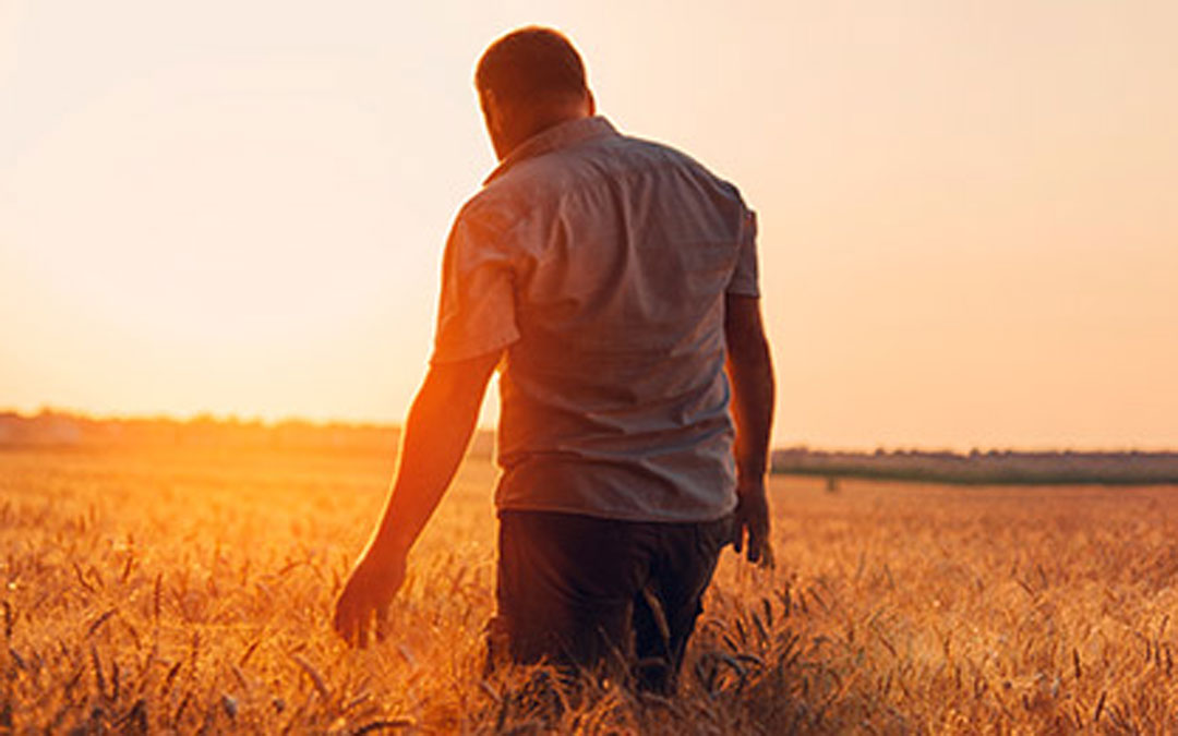 Imagen de un agricultor en un campo de cereal. Foto. Caja Rural de Teruel