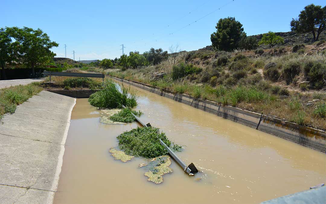 Estado de una de las salidas del canal de la Estanca de Alcañiz: un guardarraíl que cierra el paso y maleza./ M.C.