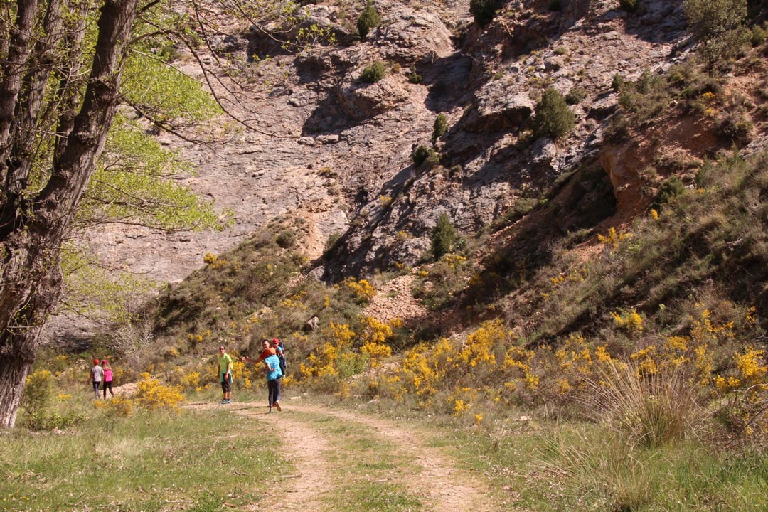 GR 8.1 al paso por Ejulve./ Comarca Andorra - Sierra de Arcos