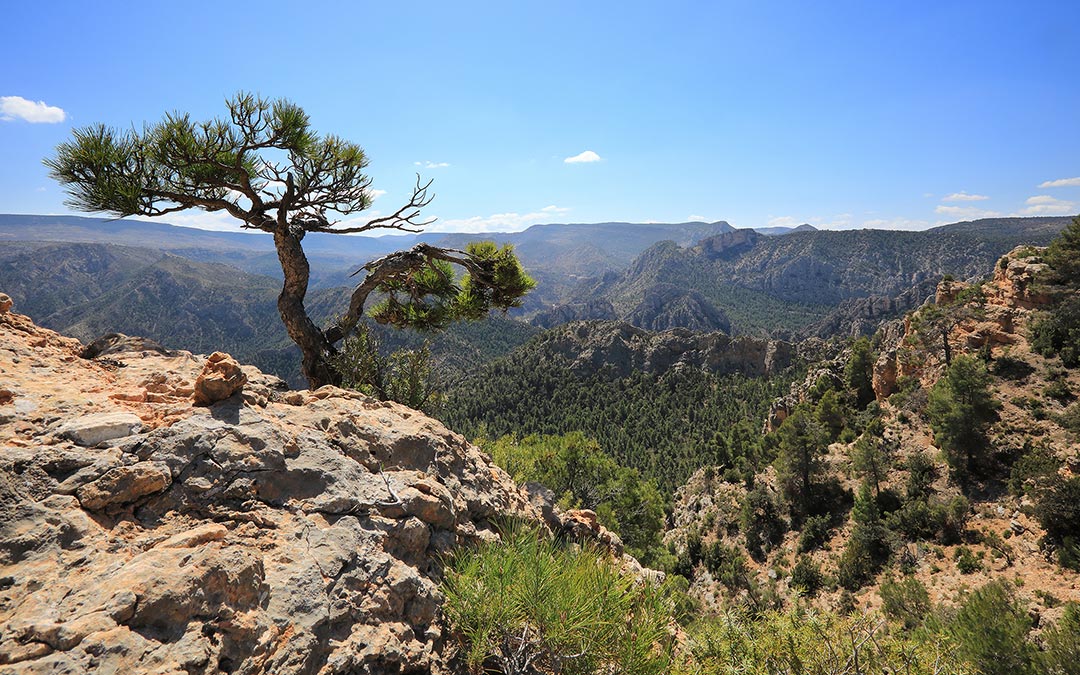 Vistas desde el Mirador del Cabezo Gordo en Ejulve