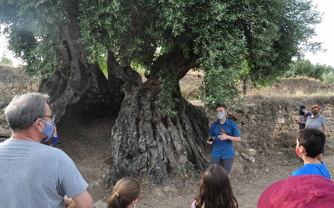 Barry Barnard junto a la Olivera del Pla de La Portellada. Javier de Luna