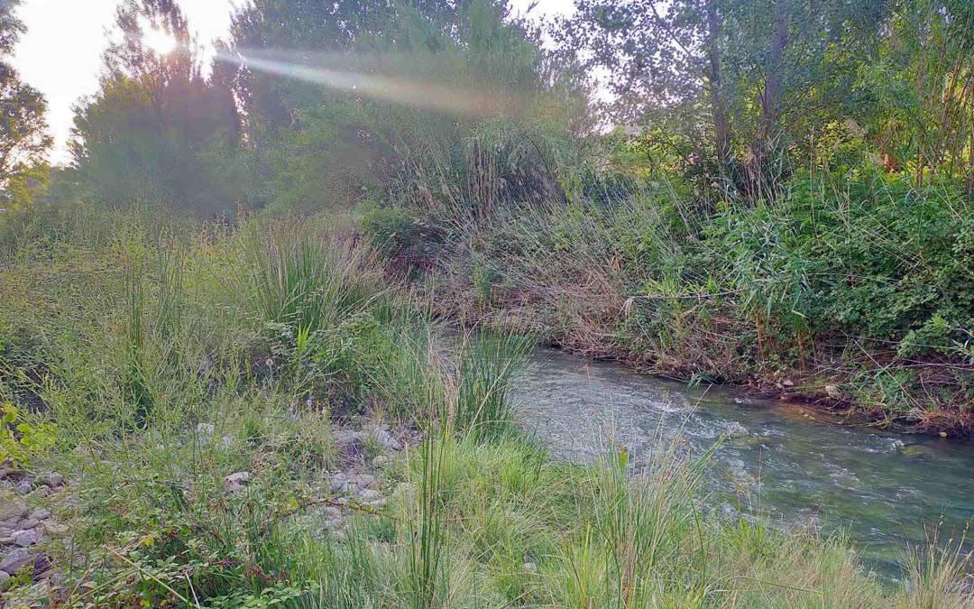 Una parte del cauce del río Martín. / CHE