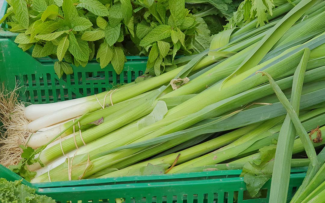 Verduras en Mercado Agroecológico./ Comarca Andorra - Sierra de Arcos
