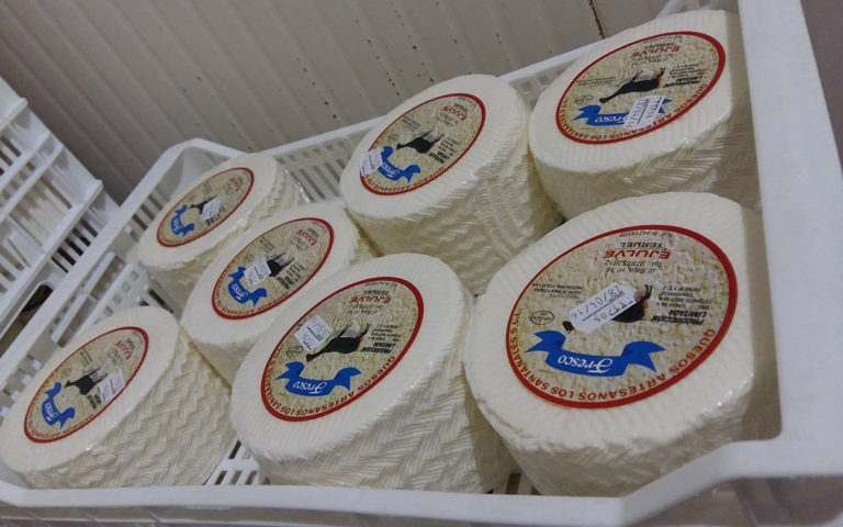 Queso fresco de cabra Los Santanales./ Comarca Andorra - Sierra de Arcos