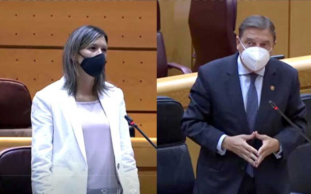 La senadora de Teruel Existe, Beatriz Martín, y el Ministro Luis Planas, durante su intervención en el Senado. / TE