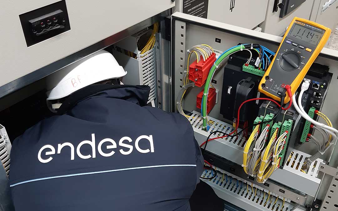 Un empleado de la eléctrica realizando trabajos de mejora / Endesa
