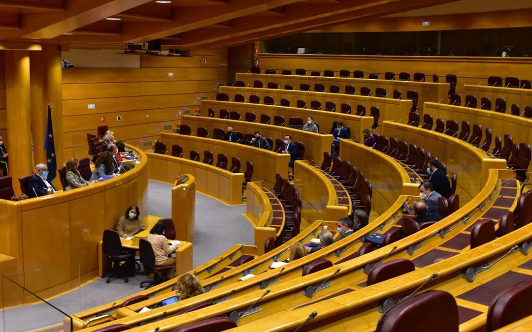 Teruel Existe ha intervenido en el Senado para defender sus propuestas./Teruel Existe