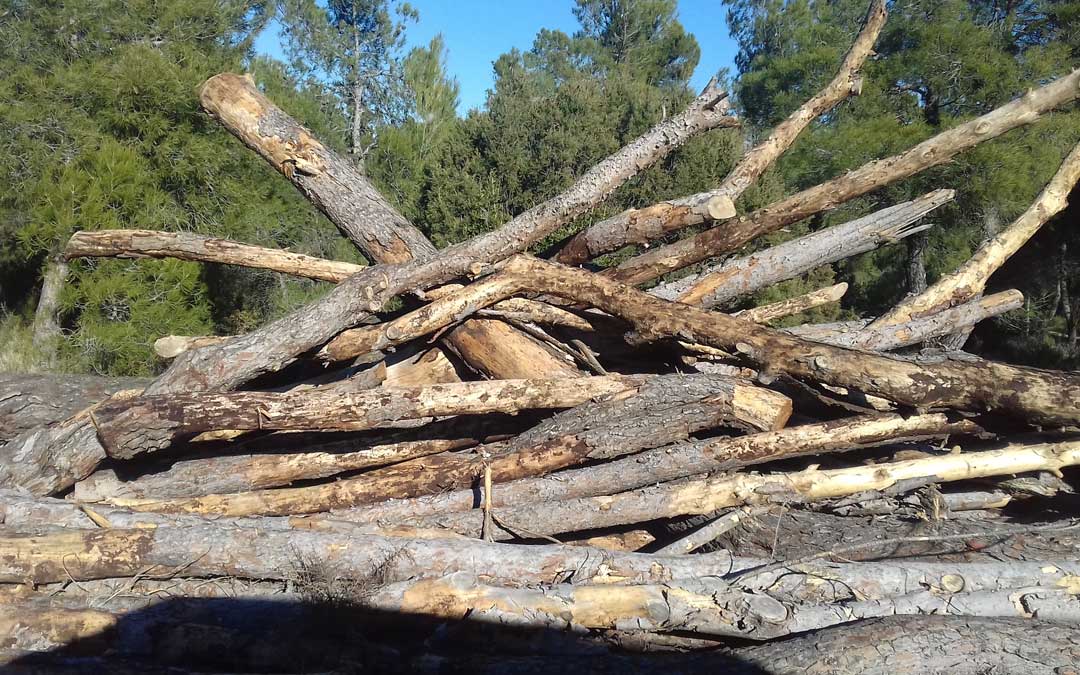 Restos de poda a disposición vecinal en La Mangranera en Alcañiz. / Ayto. Alcañiz