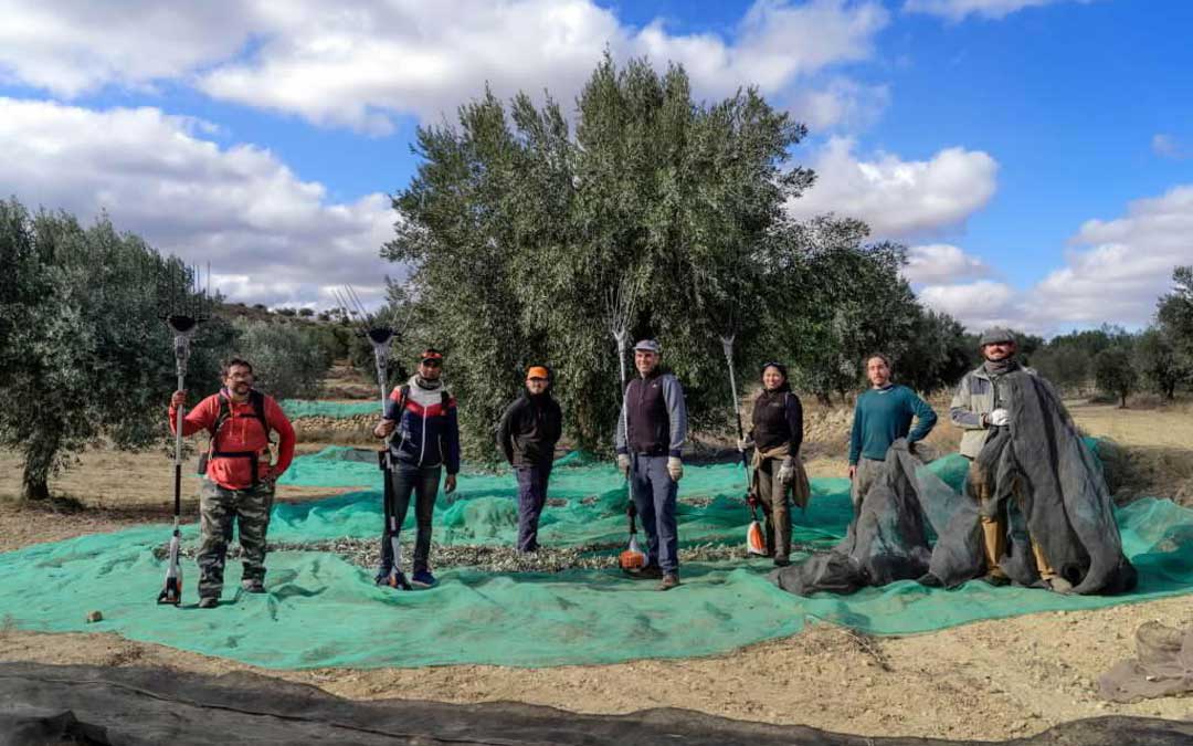 Próximamente un nuevo trabajador de unirá al equipo de Apadrina en Oliete. / Apadrina un olivo
