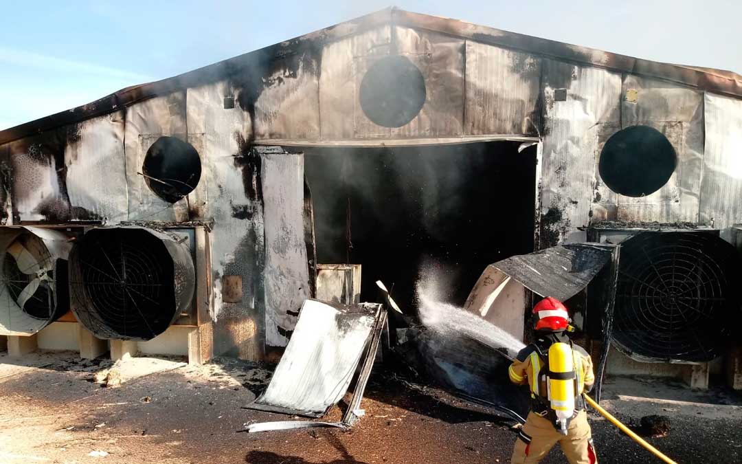 En la extinción han participado tres dotaciones de bomberos. / DPT