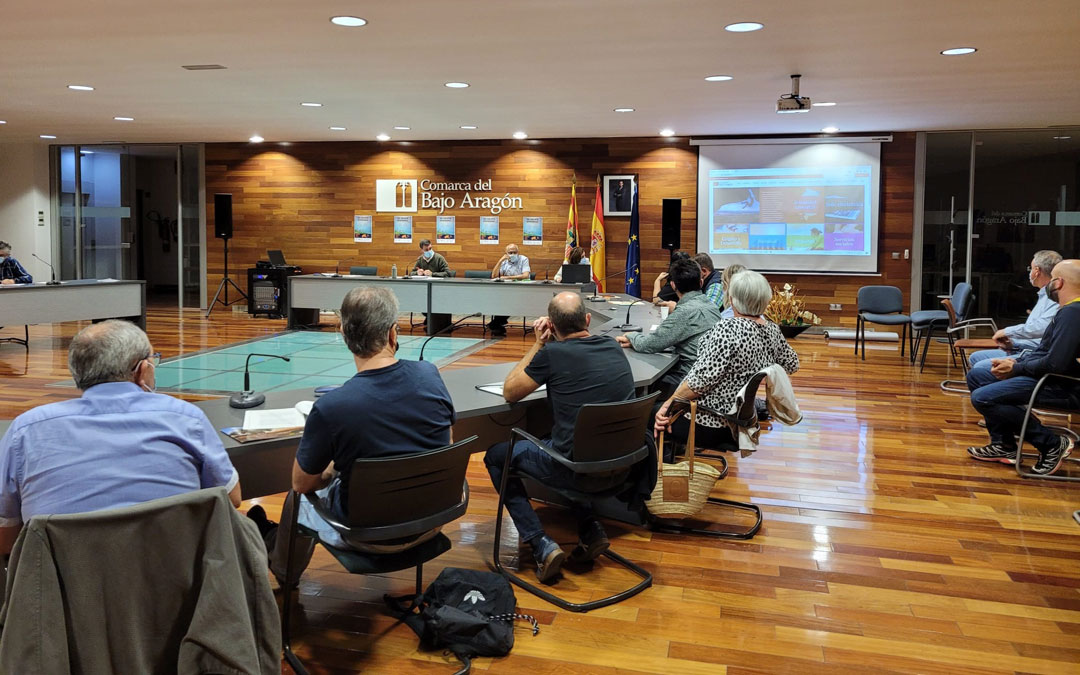 Un pleno en el salón de plenos de la Comarca del Bajo Aragón.