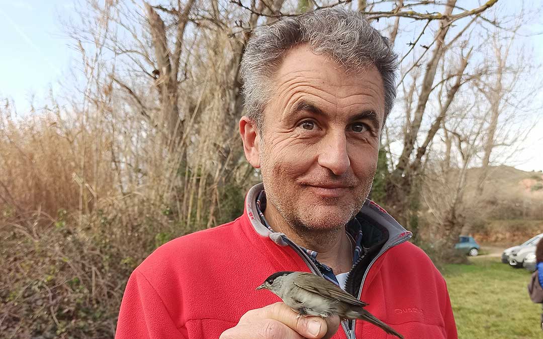 Osácar con uno de los pájaros anillados el sábado en Alcorisa./ Rubén Vidal