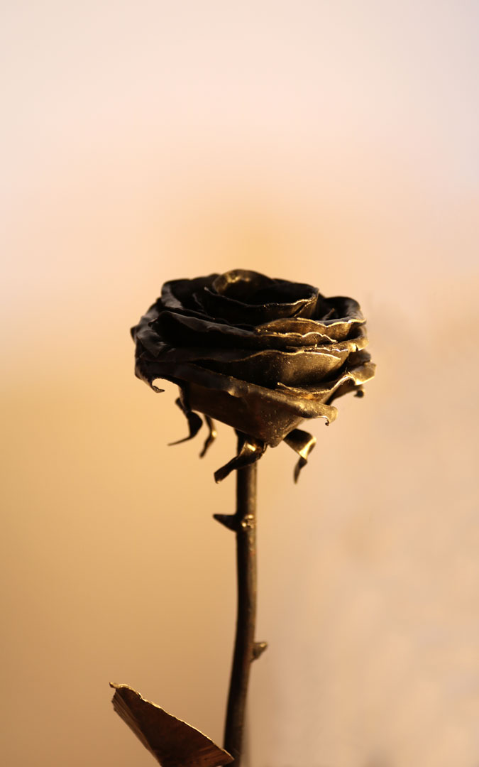 Detalle de una de las rosas creadas por Zeus Pueyo. / Z.P.